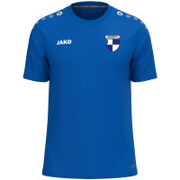 BSV - T-Shirt