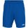 BSV - Trainingsshort