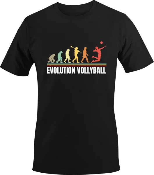 Evolution - Vollyball