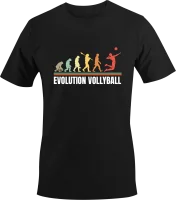Evolution - Vollyball