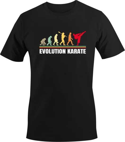 Evolution - Karate